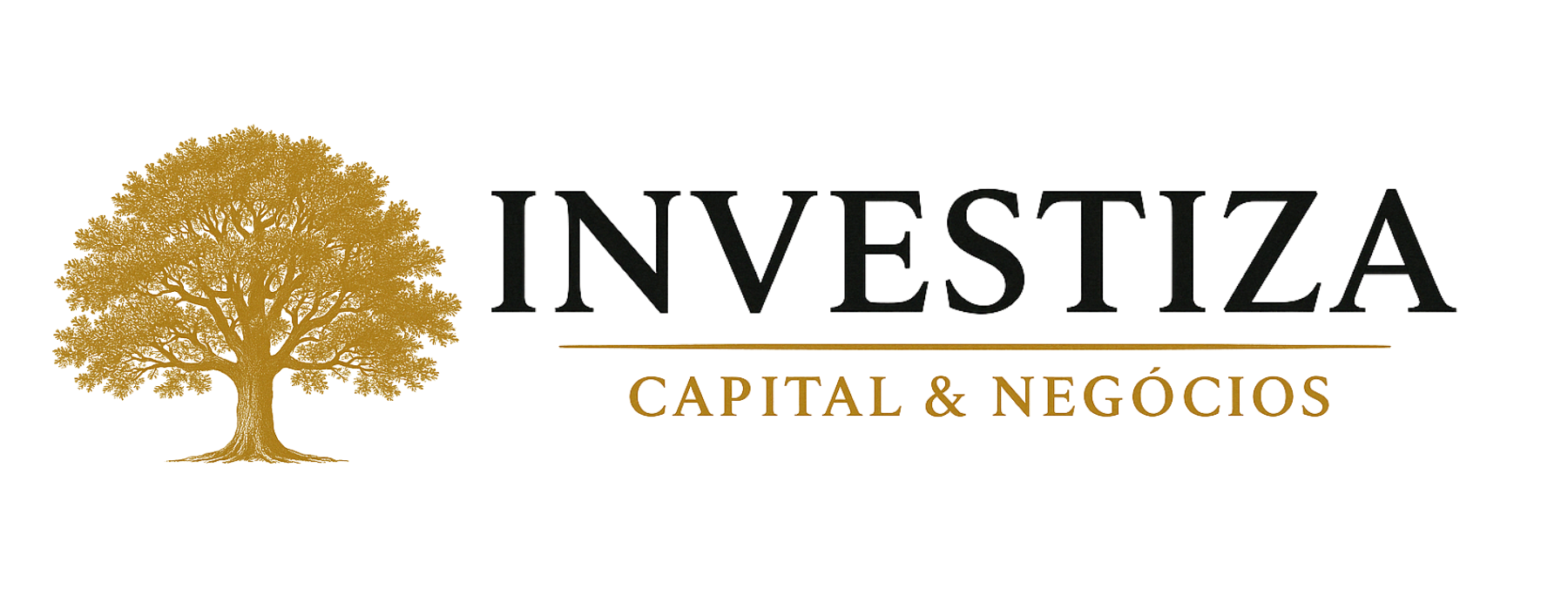 Investiza Capital e Negócios